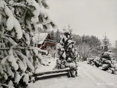 a snow covered christmas tree in front of a house at Sodyba Basapėdė in Bijutiškis