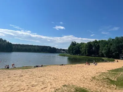 a group of people on a beach near a lake at Holiday Apartments 10 in Druskininkai