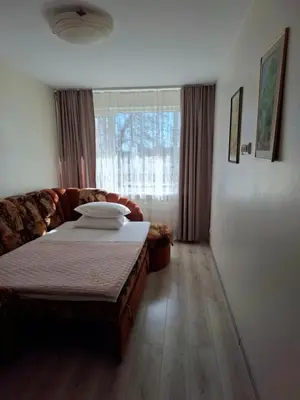 a living room with a bed and a couch at Apartamentai Vytauto 16 in Druskininkai
