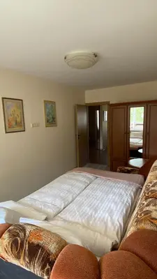 a bedroom with a large bed in a room at Apartamentai Vytauto 16 in Druskininkai