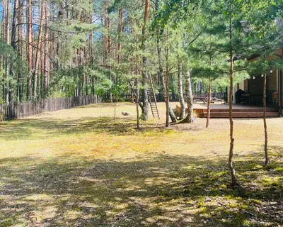 a yard with trees and a fence and a field at Peledos troba in Žiūrai