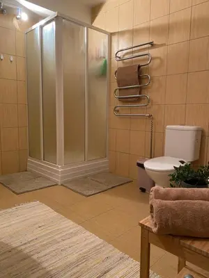 a bathroom with a shower and a toilet at Peledos troba in Žiūrai