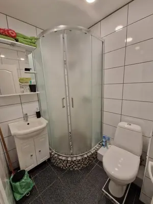 a bathroom with a shower and a toilet and a sink at Lima C in Druskininkai