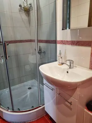a bathroom with a sink and a shower at Pas Romaną in Zarasai
