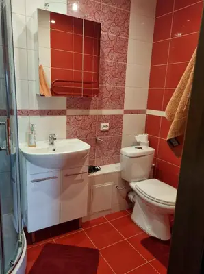 a bathroom with a toilet and a sink at Pas Romaną in Zarasai
