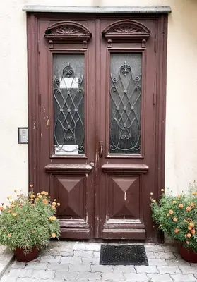 a wooden door with two windows and two plants at Old Town home of Evil Dog in Vilnius