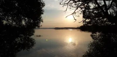 a view of a lake with the sun reflecting on the water at Žvejo krantas Palūšė in Palūšė
