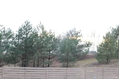 a fence in front of some trees and a field at Editos Apartamentai in Vilnius
