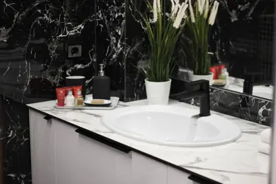 a bathroom with a white sink and plants on a counter at Editos Apartamentai in Vilnius