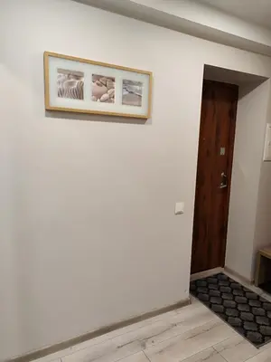 a picture hanging on a wall next to a door at Monica Apartments in Panevėžys