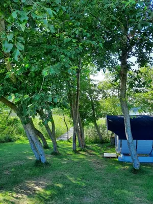 a blue bench in a park with trees at Vila Saulė in Sudeikiai