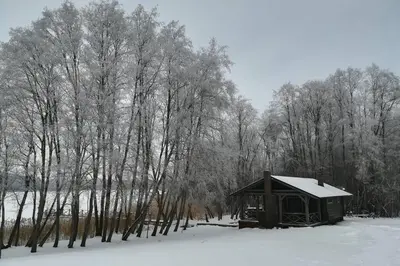 a small cabin in the snow in a forest at Mėnulės pirtelė in Sudeikiai