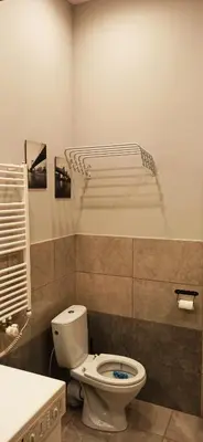 a bathroom with a toilet and a bath tub at Studio flat in a historical XIX c. building. in Kaunas