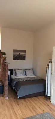 a bedroom with a bed in a room at Studio flat in a historical XIX c. building. in Kaunas