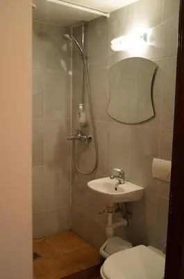 a bathroom with a shower and a toilet and a sink at Meškių dvarkiemis in Šiauliai