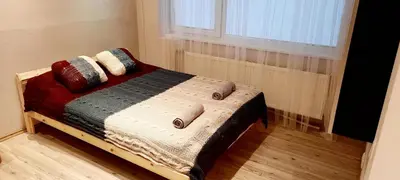 a bed in a room with a window at M&M Apartment VIII Self CHECK-IN in Panevėžys