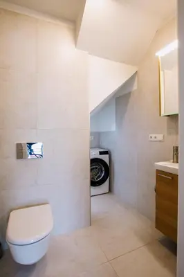 a bathroom with a toilet and a washing machine at Pine Home in Druskininkai