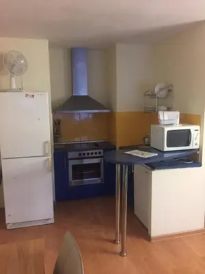 a small kitchen with a stove and a microwave at Kęstučio 74 in Kaunas
