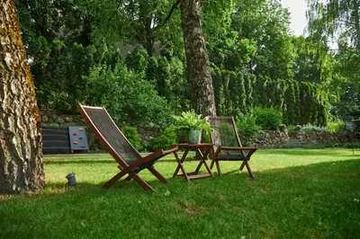 two chairs and a table in the grass next to a tree at 