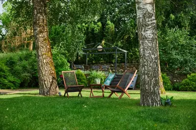 two chairs and a table in the grass between two trees at 