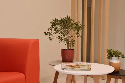 a potted plant sitting on a table next to a chair at Tip Tap Guest House in Druskininkai