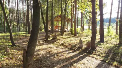 a group of stuffed animals sitting in a forest at Poilsio ir sveikatinimo sodyba Pušų Šlamesy in Vilnius
