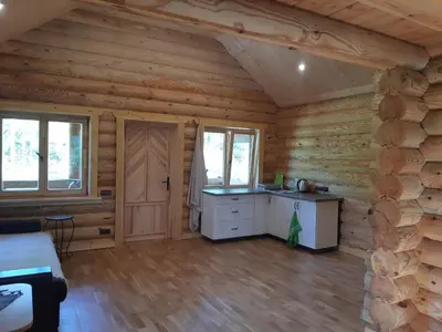 a log cabin kitchen with wooden walls and wooden floors at Pušų Šlamesy in Vilnius