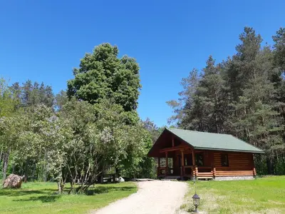 a log cabin in the woods with a dirt road at Pušų Šlamesy in Vilnius