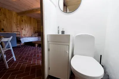a bathroom with a toilet and a mirror on the wall at ETNO house in Ricieliai