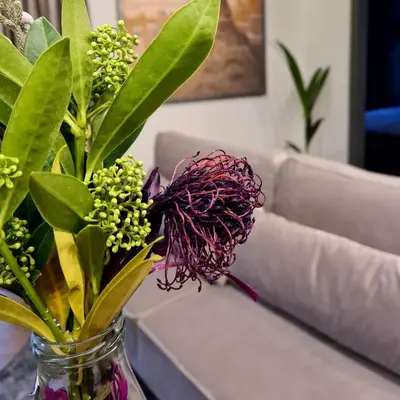 a vase filled with green and purple flowers next to a couch at Stay in Kaunas & Park House in Kaunas
