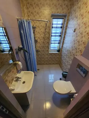 a bathroom with a sink and a toilet and a shower at La-Vanda in Šiauliai