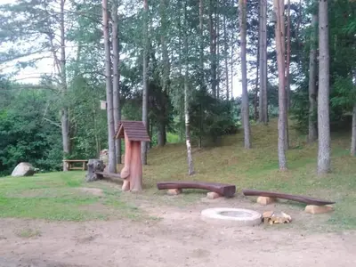 a picnic area with a park with trees at Kaimo turizmo sodyba Stromelė in Baltriškės