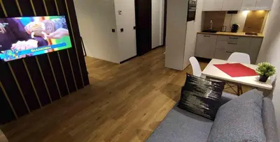 a living room with a couch and a flat screen tv at Ozas Green Apartment in Vilnius