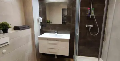 a bathroom with a sink and a shower at Ozas Green Apartment in Vilnius