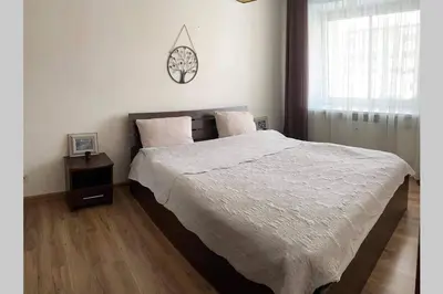 a bedroom with a large bed and a window at Apartamentai Draugystes Street in Šiauliai
