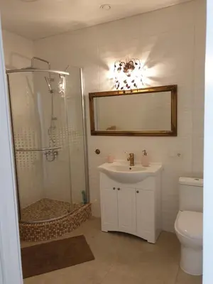 a bathroom with a shower and a sink and a toilet at Skuodo 2E in Kaunas