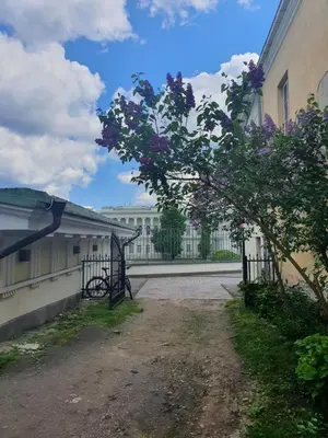 a building with a gate and a tree with purple flowers at Old Town apartment l Self check in in Vilnius