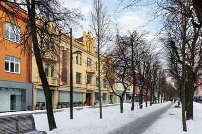a snow covered street with trees and buildings at Laisves ave. Apartments Mini in Kaunas