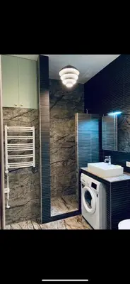 a bathroom with a washing machine and a sink at Botanical Manor Apartment in Kaunas