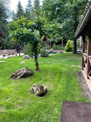 a garden with rocks and a tree in the grass at Rustic private Cabin in woods w/ Sauna & Pool in Vilnius