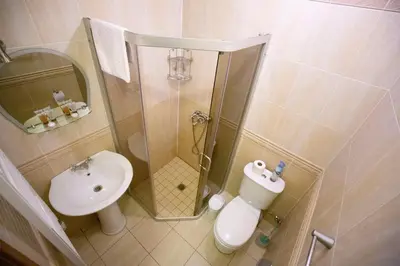 a bathroom with a shower and a toilet and a sink at Taujėnų dvaro svečių namai in Towiany