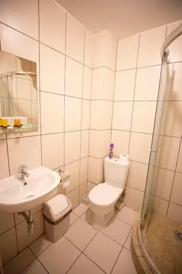 a white bathroom with a toilet and a sink at Taujėnų dvaro svečių namai in Towiany