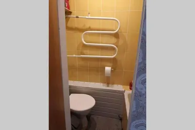 a bathroom with a toilet and a shower curtain at Pigūs apartamentai Panevėžyje in Panevėžys