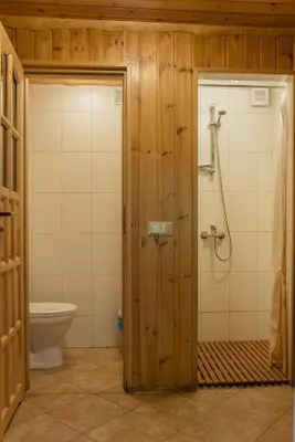 a bathroom with a shower and a toilet at Bilso Sodyba in Vilkanastrai
