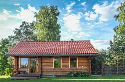 a log cabin with a red roof at Bilso Sodyba in Vilkanastrai