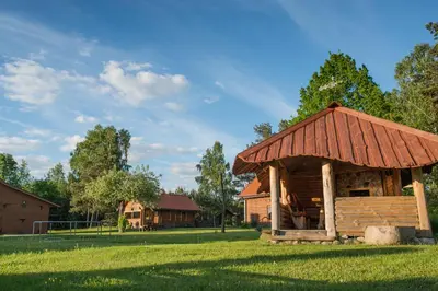 a log cabin with a rusty roof on a grass field at Bilso Sodyba in Vilkanastrai