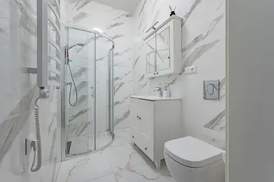 a white bathroom with a shower and a toilet at St Casimir Apartments in Vilnius