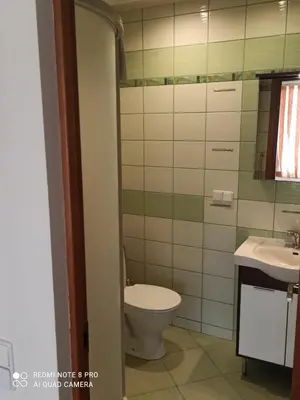 a bathroom with a toilet and a sink at Nelli apartamentai in Druskininkai