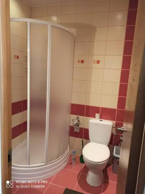 a bathroom with a toilet and a shower at Nelli apartamentai in Druskininkai