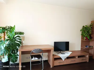 a desk with a television and a plant in a room at Nelli apartamentai in Druskininkai